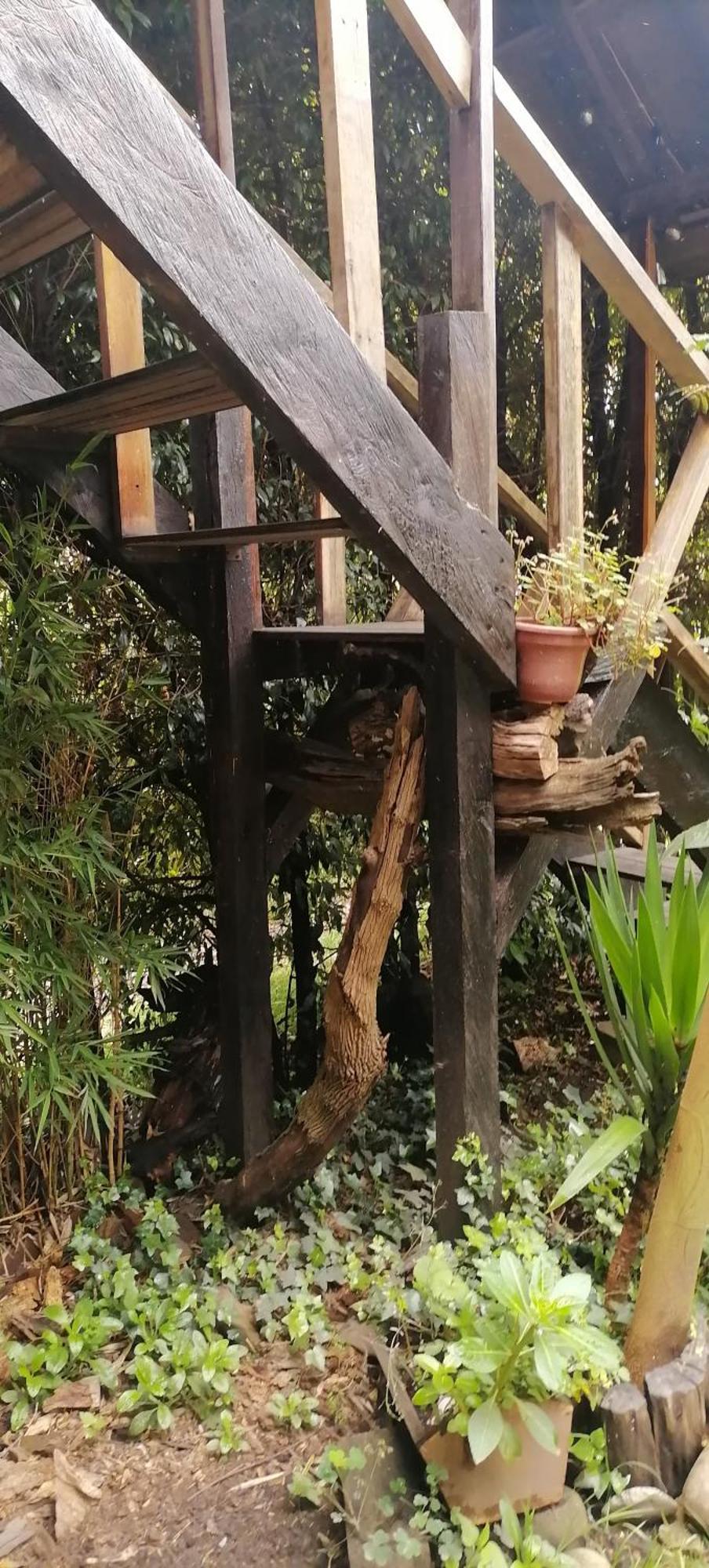 Cabana En La Calera Bersanina לה קאלרה מראה חיצוני תמונה