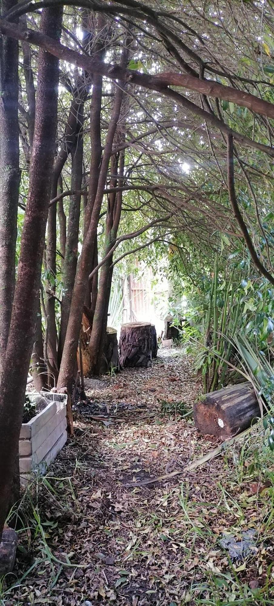 Cabana En La Calera Bersanina לה קאלרה מראה חיצוני תמונה